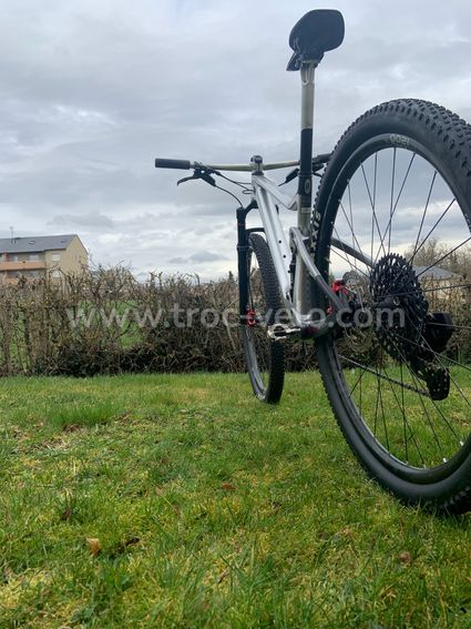 bad dog mini bike frame