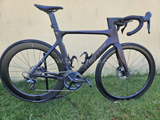 Giant 2024 propel precio