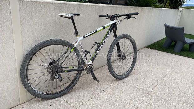 Cannondale F29 team - 1