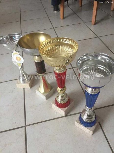 4 grandes coupes - 1