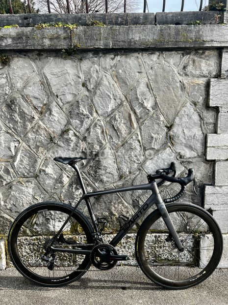 Sarto velo best sale