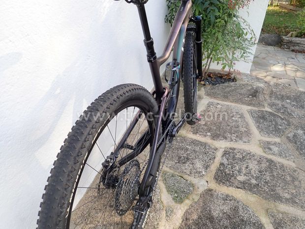 Liv Pique Advanced Pro 1 (2021) - 7