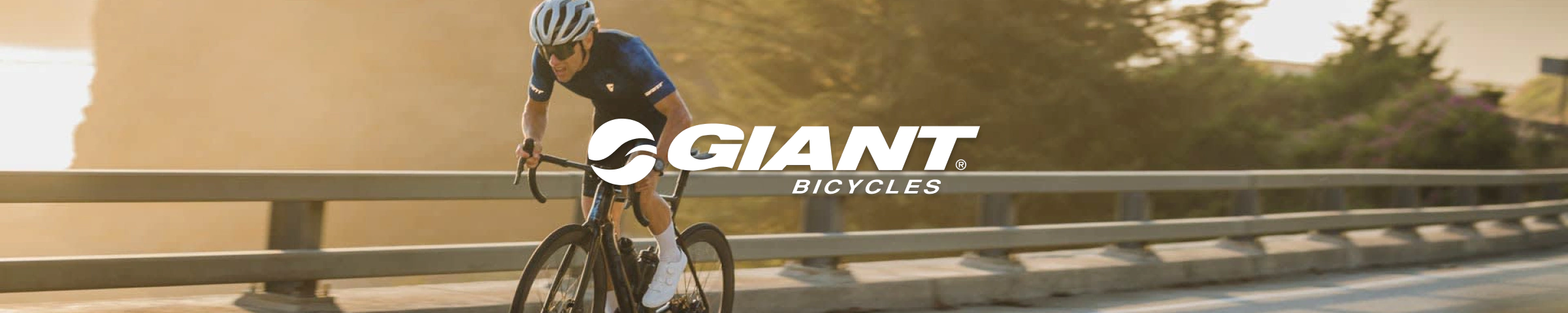 vélo Giant Occasion 